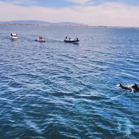 Cayo Coco By Algarve Vacation ヴィラ